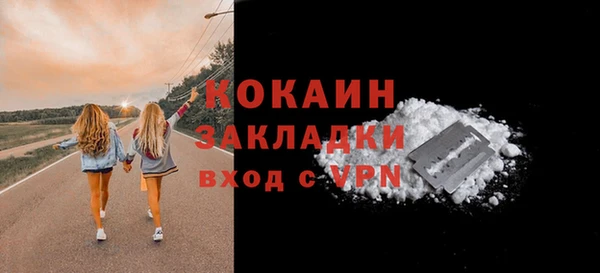 молекула духа Мегион
