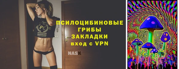 трава Медвежьегорск