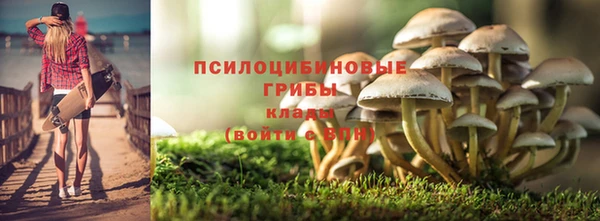 мдма Медногорск