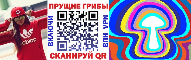 Псилоцибиновые грибы Cubensis Южа